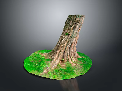Plant Scene With Tree Stump Small Plants Green Grass Exposed Roots And Trunk Texture 3d model