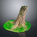 Plant Scene With Tree Stump Small Plants Green Grass Exposed Roots And Trunk Texture