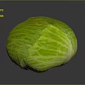 Fresh Green Cabbage with Leafy Texture Organic Raw Vegetable Ideal for Healthy Salads