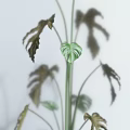 Various Types of Green Potted Plants in Different Flower Pots Against White Wall with Shadows
