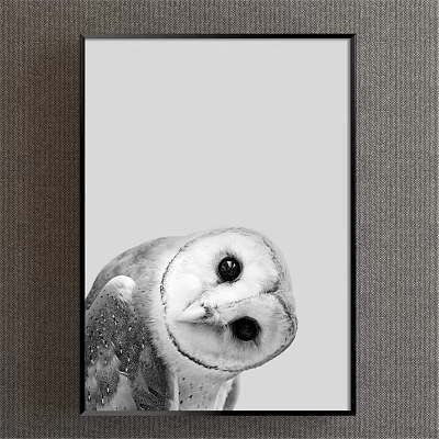 Detailed Animal Painting of Black and White Owl in Framed Wall Art 3d model Detailed Animal Painting of Black and White Owl in Framed Wall Art 3d model