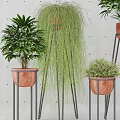 Indoor Potted Plants With Copper Pots And Metal Stands Featuring Various Green Foliage