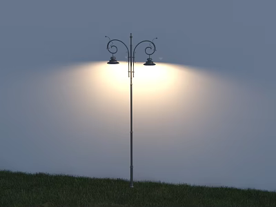 Metal Outdoor Light with Double Lamp Heads Illuminating Green Grass in Open Area 3d model