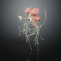 Detailed 3D Rendered Anatomical Structure With Brain Eyes And Networked Nerves