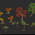 Different Types of Arborescent Trees with Colorful Foliage and Varied Sizes