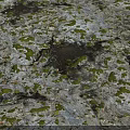 Weathered Rocky Terrain Covered With Green Moss And Small Puddle In Center