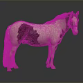 Realistic Brown and White Pony Standing on Gray Surface with Reflection