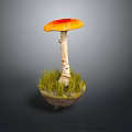 Vibrant Orange Cap Mushroom with White Stem and Green Grass on Base against Dark Background