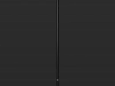 Sleek Modern Black Outdoor Light Pole Ideal For Garden And Outdoor Decoration 3d model
