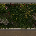 Beautiful Hanging Basket Plants Decorating Vertical Garden Wall With Various Green Plants And Colorful Flowers