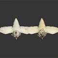 Two White Chicks With Red And Yellow Crests Spread Wings Standing On White Background