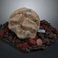 Brain Shaped Coral Specimen with Red and Gray Stones and Bottom Tag