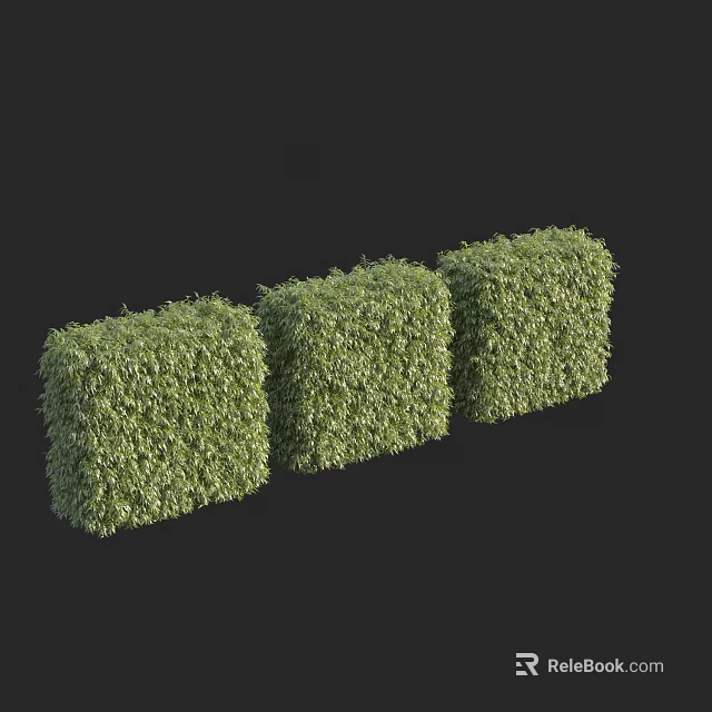 Three Green Cubed Shrubs With Neat Foliage For Outdoor Garden Design 3d model 