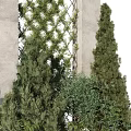 Modern Green Plant Wall Design With Lattice Structure And Surrounding Evergreen Trees