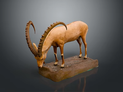 Brown Antelope Taxidermy Specimen With Large Curved Horns Standing On Gray Base 3d model