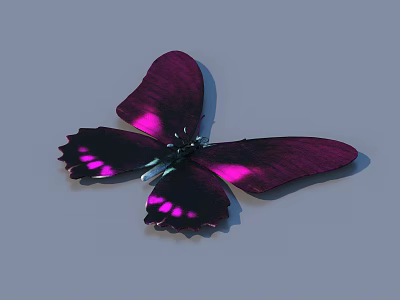 Vibrant Purple Pink Butterfly With Shiny Wings And Black Edges Details 3d model