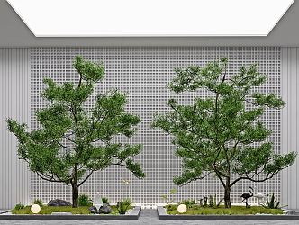 Modern tree courtyard sketch landscape sketch plant landscaping rockery stone indoor landscape plant pile ferns 3d model