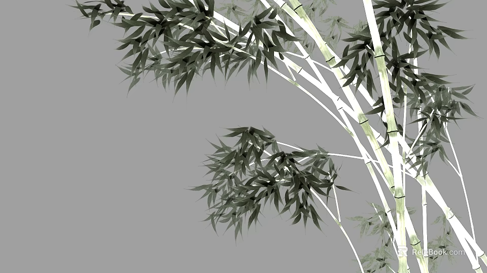 Lush Green Bamboo Plant With Vibrant Leaves And Slender White Stems 3d model 