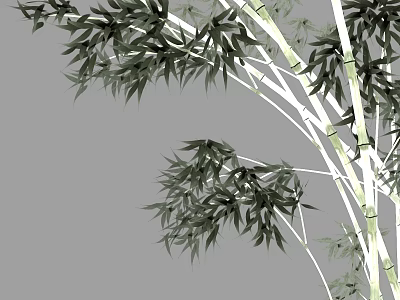 Lush Green Bamboo Plant With Vibrant Leaves And Slender White Stems 3d model