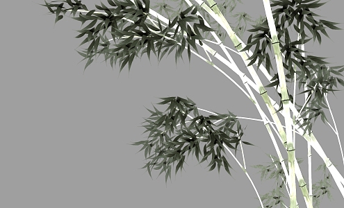 Chinese style bamboo 3d model