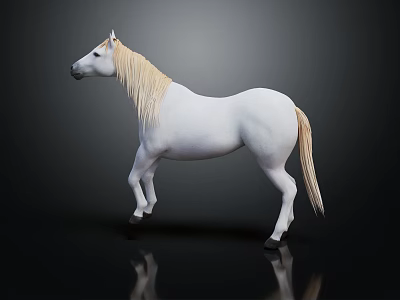 White Horse Standing Gracefully On Black Background With Clear Reflection 3d model