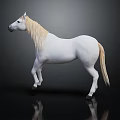 White Horse Standing Gracefully On Black Background With Clear Reflection 3d model