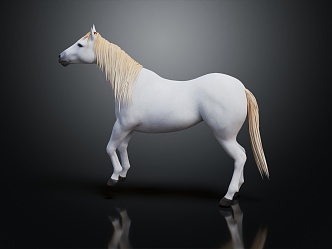 Modern Horse White Horse 3d model