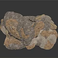 Layered Natural Organic Stacked Structure With Textured Surfaces And Irregular Layers