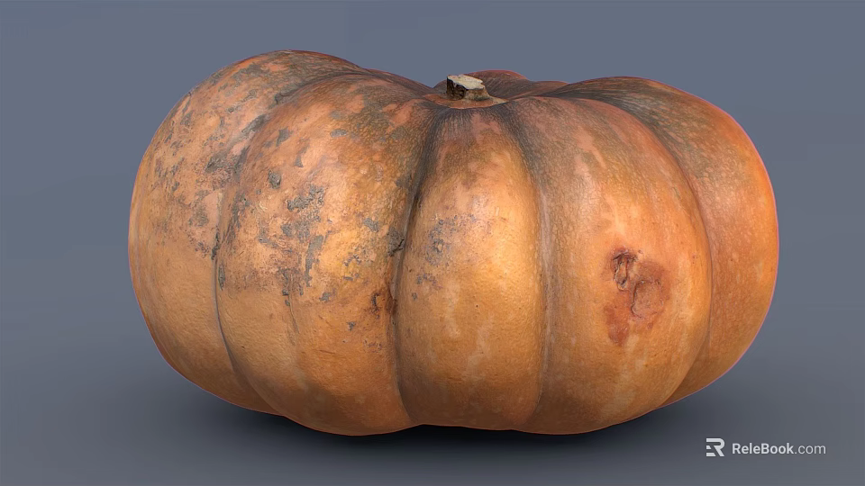 Fresh Ripe Pumpkin Vegetable With Natural Orange Skin And Organic Texture 3d model 