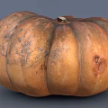 Fresh Ripe Pumpkin Vegetable With Natural Orange Skin And Organic Texture