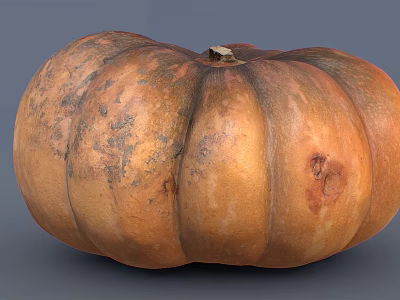 Fresh Ripe Pumpkin Vegetable With Natural Orange Skin And Organic Texture 3d model