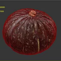 Single Blue Green Speckled Striped Pumpkin With Yellow Stem On Dark Background
