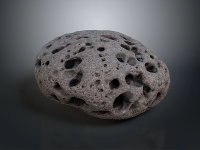 Natural Porous Stone with Many Holes on Textured Rounded Surface 3d model