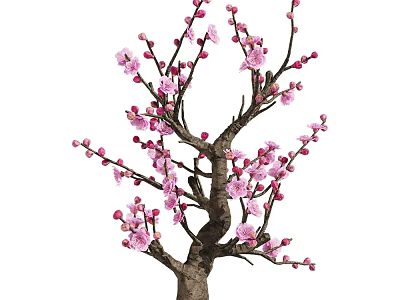 Beautiful Vibrant Pink Flowering Tree With Delicate Branches And Fresh Blossoms 3d model