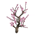 Beautiful Vibrant Pink Flowering Tree With Delicate Branches And Fresh Blossoms