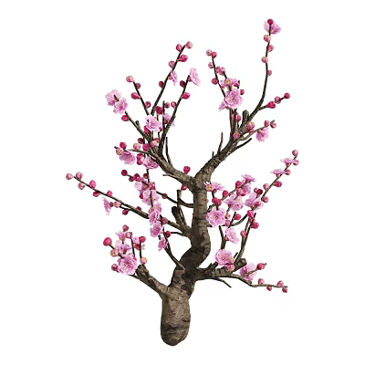 Beautiful Vibrant Pink Flowering Tree With Delicate Branches And Fresh Blossoms 3d model