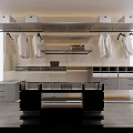 Modern Minimalist Wardrobe Interior With Hanging Area Shelves Drawers And White Clothes