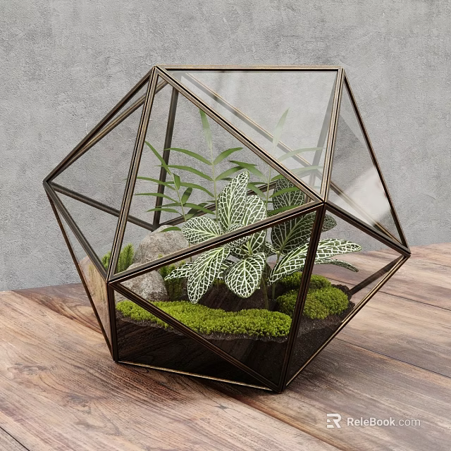 Geometric Glass Terrarium with Green Moss Small Plants and Stones and Metal Frame Design 3d model 