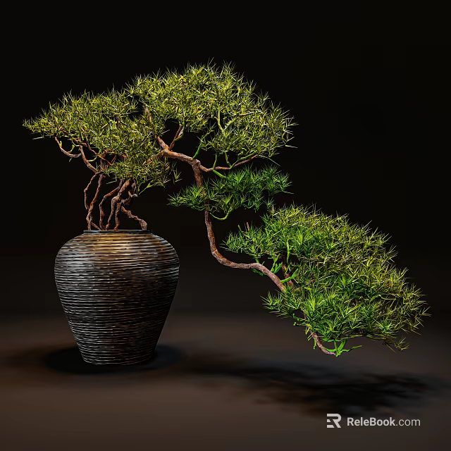 Bonsai Plant With Curved Branches Lush Green Foliage And Textured Dark Ceramic Pot 3d model 