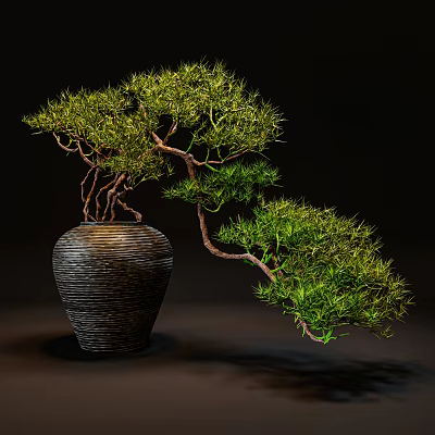 Bonsai Plant With Curved Branches Lush Green Foliage And Textured Dark Ceramic Pot 3d model