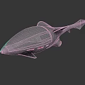 Futuristic Concept Vehicle With Streamlined Silver Design Transparent Cockpit And Aerodynamic Fins
