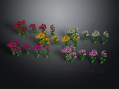 Colorful Potted Flowering Plants With Red Yellow Purple And White Blooms Displayed Together 3d model