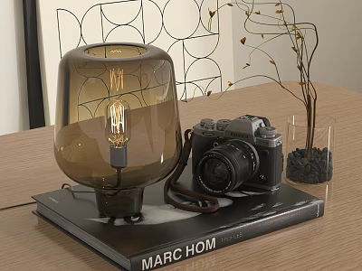 Modern Decorative Ornament Set With Brown Glass Lamp Vintage Camera Small Plant And Decorative Book 3d model