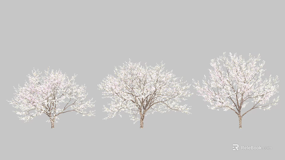 Elegant Flowering Trees With Abundant White Blossoms And Graceful Branches 3d model 