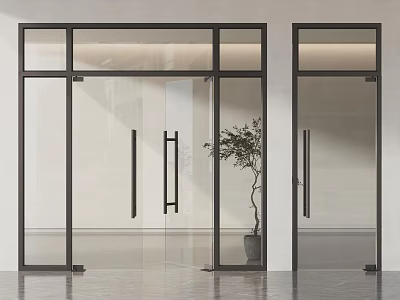 Modern Glass Doors With Black Frame And Indoor Plant In Interior Space 3d model