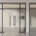 Modern Glass Doors With Black Frame And Indoor Plant In Interior Space