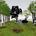 Bamboo Grove in Natural Garden Landscape with Green Grass Rocks and Trees