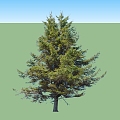 green plant big tree 3d model