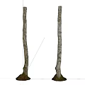 Natural Wood Tree Trunks with Stone Base for Decorative Landscaping Use 3d model