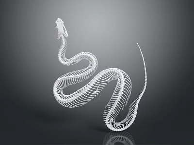 Detailed 3D Snake Skeleton Structure on Gray Background with White Bone Rendering 3d model